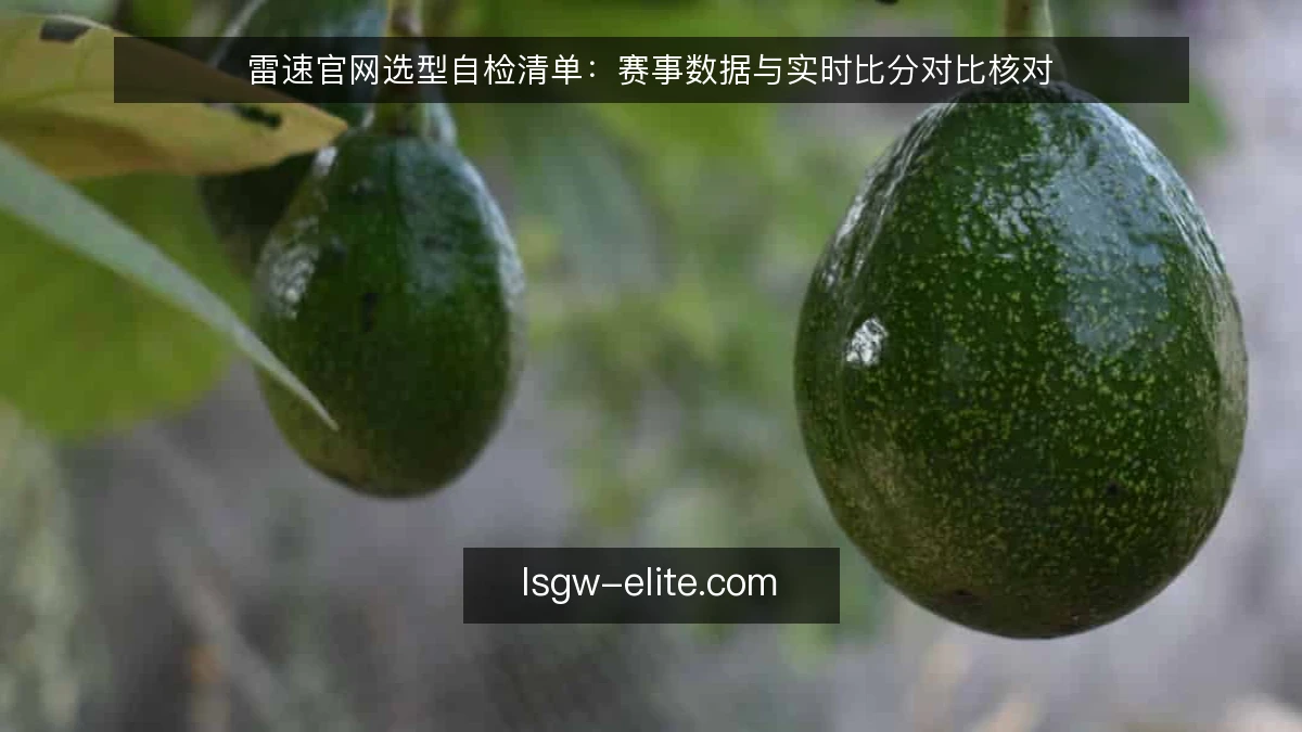 雷速官网选型自检清单：赛事数据与实时比分对比核对